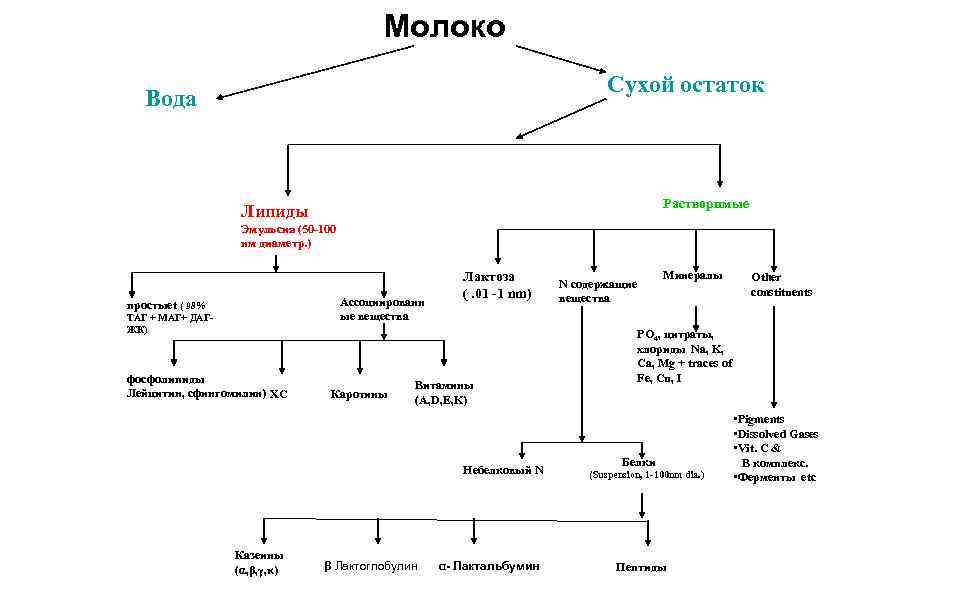 Сухое молоко содержит жир белок молочный сахар и воду их соотношение представлено в виде диаграммы