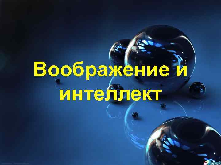 Воображение и интеллект 