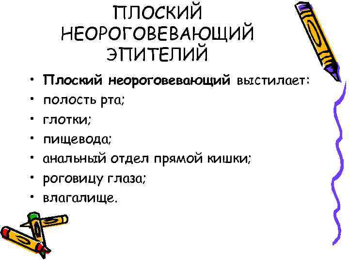 ПЛОСКИЙ НЕОРОГОВЕВАЮЩИЙ ЭПИТЕЛИЙ • • Плоский неороговевающий выстилает: полость рта; глотки; пищевода; анальный отдел