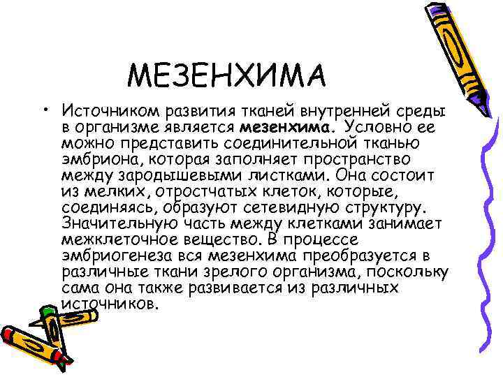 МЕЗЕНХИМА • Источником развития тканей внутренней среды в организме является мезенхима. Условно ее можно