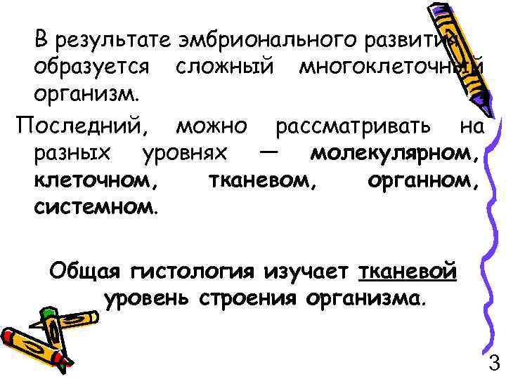 В результате эмбрионального развития образуется сложный многоклеточный организм. Последний, можно рассматривать на разных уровнях