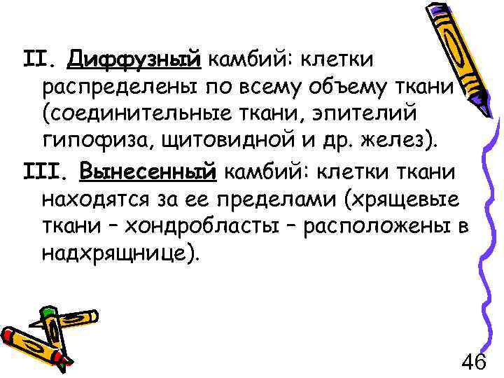 II. Диффузный камбий: клетки распределены по всему объему ткани (соединительные ткани, эпителий гипофиза, щитовидной