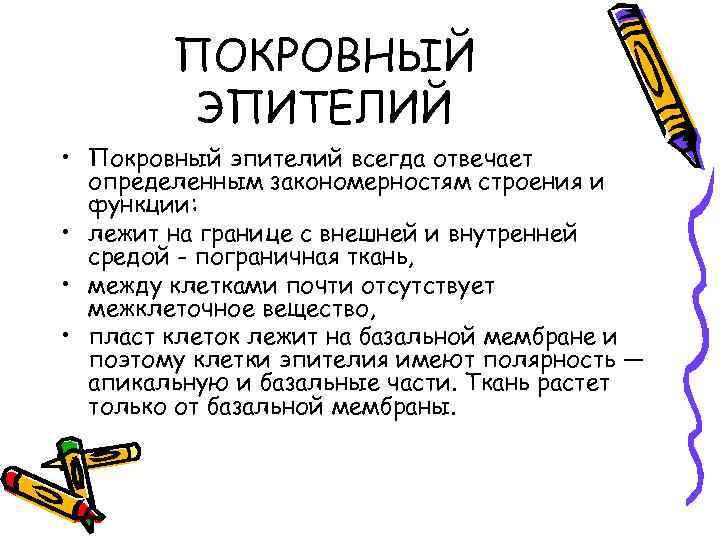 ПОКРОВНЫЙ ЭПИТЕЛИЙ • Покровный эпителий всегда отвечает определенным закономерностям строения и функции: • лежит