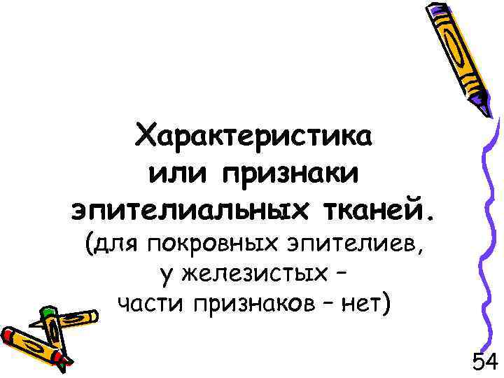 Характеристика или признаки эпителиальных тканей. (для покровных эпителиев, у железистых – части признаков –