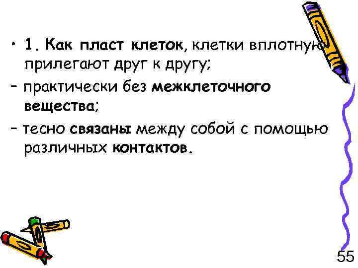  • 1. Как пласт клеток, клетки вплотную прилегают друг к другу; – практически