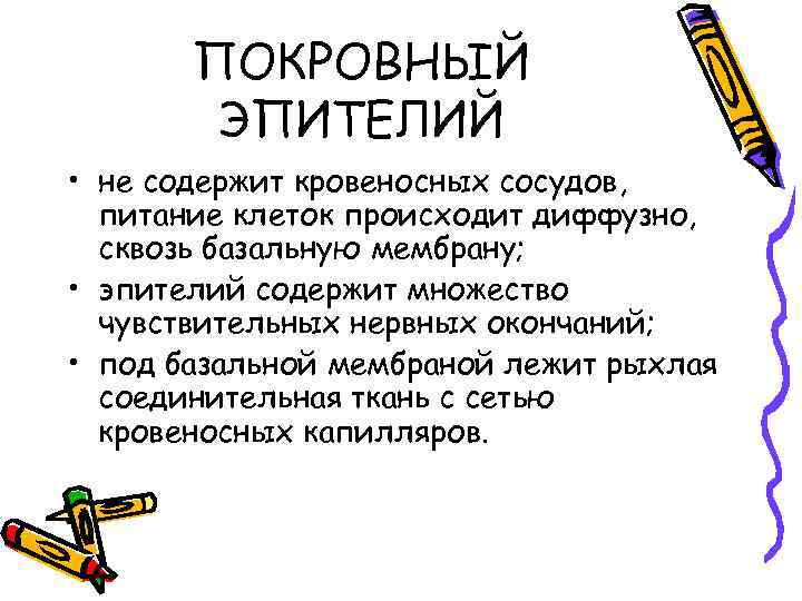 ПОКРОВНЫЙ ЭПИТЕЛИЙ • не содержит кровеносных сосудов, питание клеток происходит диффузно, сквозь базальную мембрану;