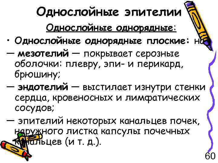 Однослойные эпителии Однослойные однорядные: • Однослойные однорядные плоские: на — мезотелий — покрывает серозные