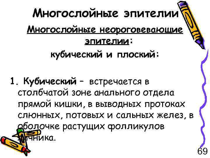 Многослойные эпителии Многослойные неороговевающие эпителии: кубический и плоский: 1. Кубический – встречается в столбчатой