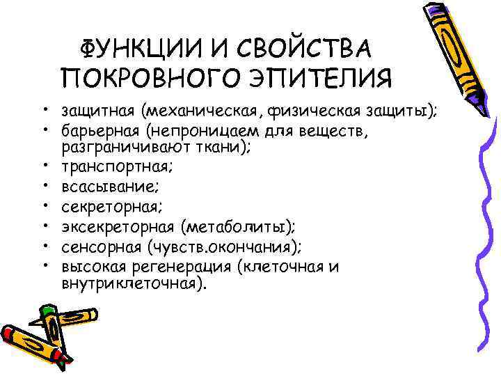 ФУНКЦИИ И СВОЙСТВА ПОКРОВНОГО ЭПИТЕЛИЯ • защитная (механическая, физическая защиты); • барьерная (непроницаем для