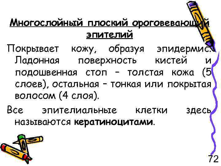 Многослойный плоский ороговевающий эпителий Покрывает кожу, образуя эпидермис. Ладонная поверхность кистей и подошвенная стоп