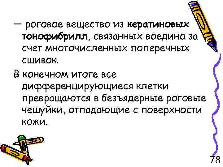 — роговое вещество из кератиновых тонофибрилл, связанных воедино за счет многочисленных поперечных сшивок. В