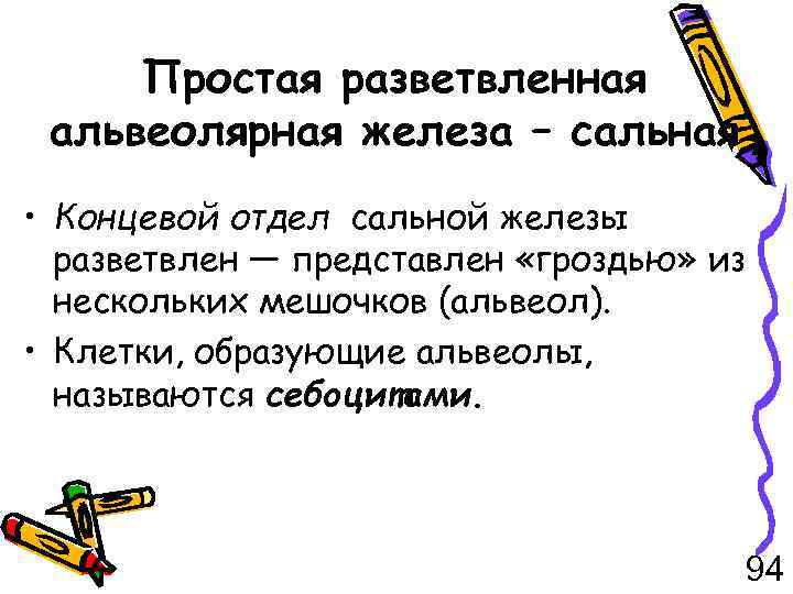 Простая разветвленная альвеолярная железа – сальная • Концевой отдел сальной железы разветвлен — представлен