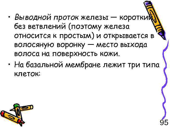  • Выводной проток железы — короткий, без ветвлений (поэтому железа относится к простым)