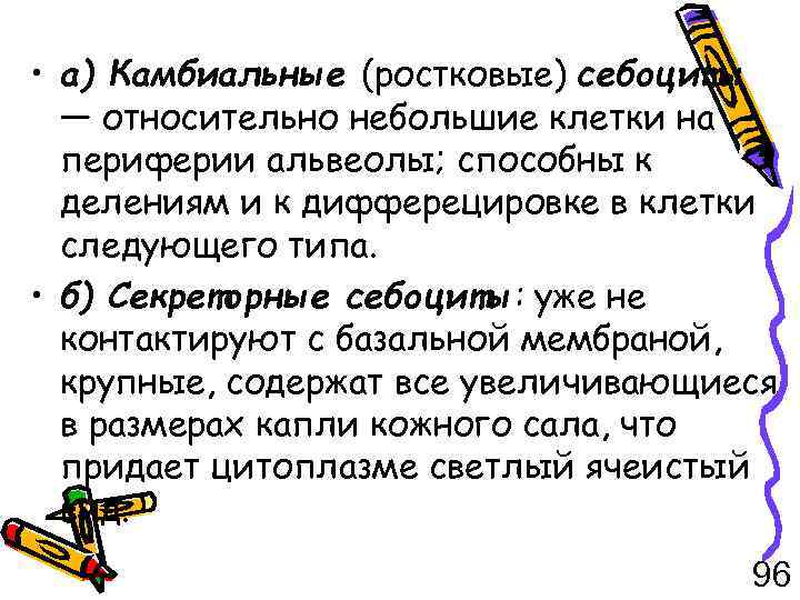  • а) Камбиальные (ростковые) себоциты — относительно небольшие клетки на периферии альвеолы; способны