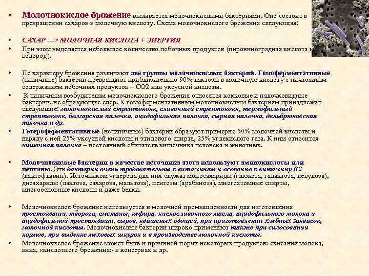  • Молочнокислое брожение вызывается молочнокислыми бактериями. Оно состоит в • • САХАР --->