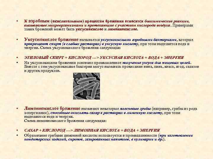  • К аэробным (окислительным) процессам брожения относятся биохимические реакции, вызываемые микроорганизмами и протекающие