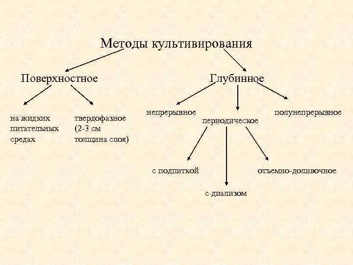 Белая и красная схема сбраживания в чем разница