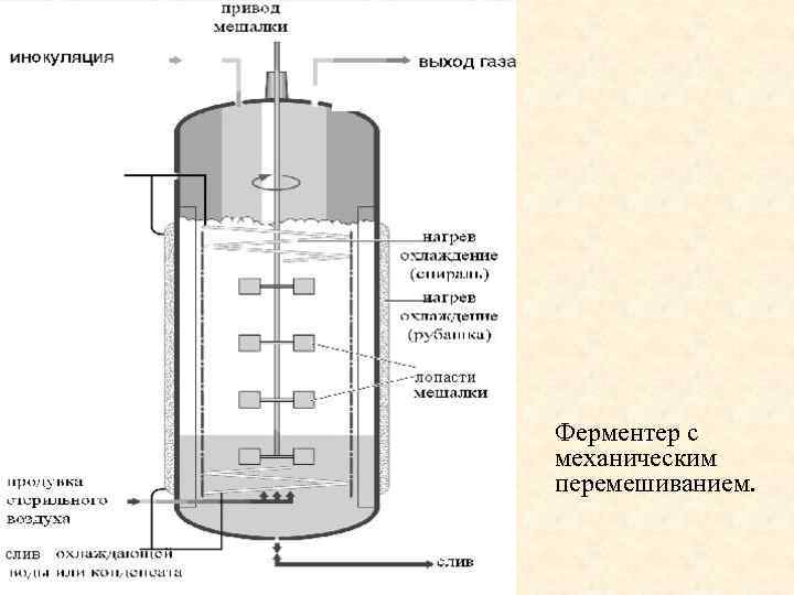 Ферментер с механическим перемешиванием. 