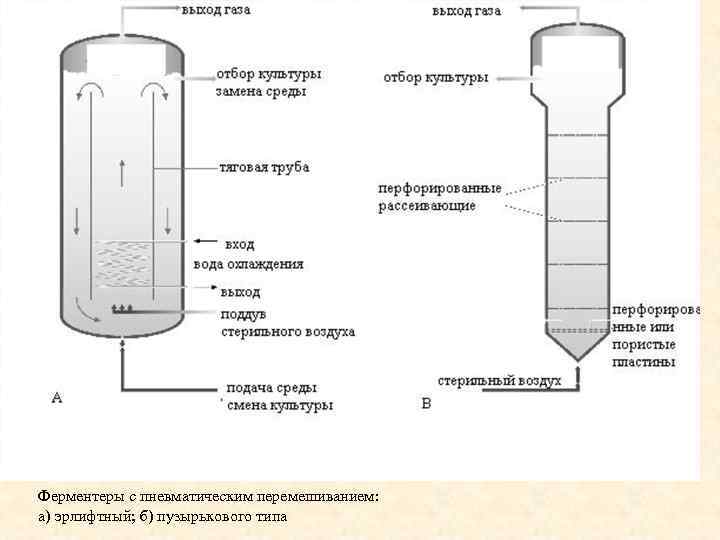 Ферментеры с пневматическим перемешиванием: а) эрлифтный; б) пузырькового типа 