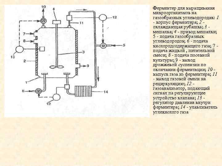 • Ферментер для выращивания микроорганизмов на газообразных углеводородах: 1 - корпус ферментера; 2