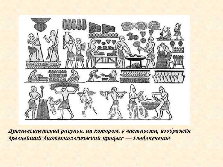Древнеегипетский рисунок, на котором, в частности, изображён древнейший биотехнологический процесс — хлебопечение 
