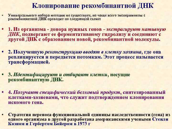 Клонирование рекомбинантной ДНК • Универсального набора методик не существует, но чаще всего эксперименты с
