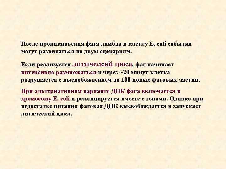 После проникновения фага лямбда в клетку E. coli события могут развиваться по двум сценариям.
