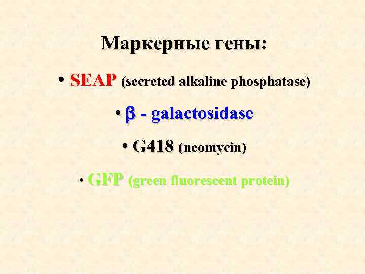 Маркерные гены: • SEAP (secreted alkaline phosphatase) • - galactosidase • G 418 (neomycin)