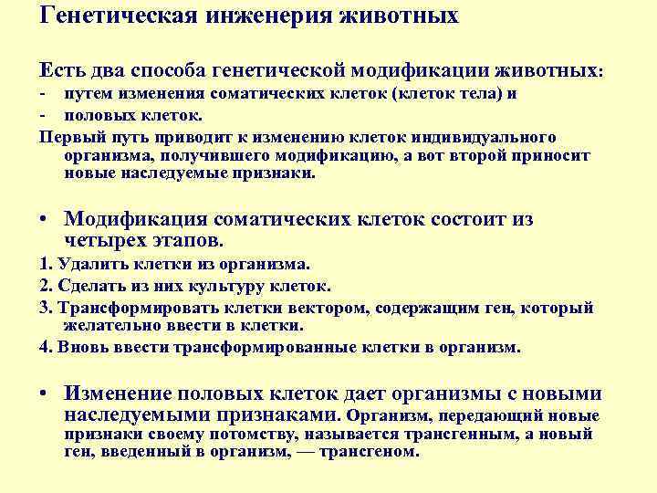 Генетическая инженерия животных Есть два способа генетической модификации животных: - путем изменения соматических клеток
