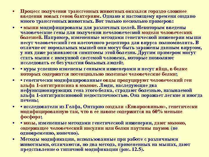  • • Процесс получения трансгенных животных оказался гораздо сложнее введения новых генов бактериям.