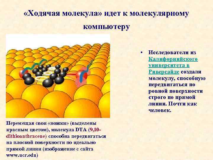  «Ходячая молекула» идет к молекулярному компьютеру • Исследователи из Калифорнийского университета в Риверсайде