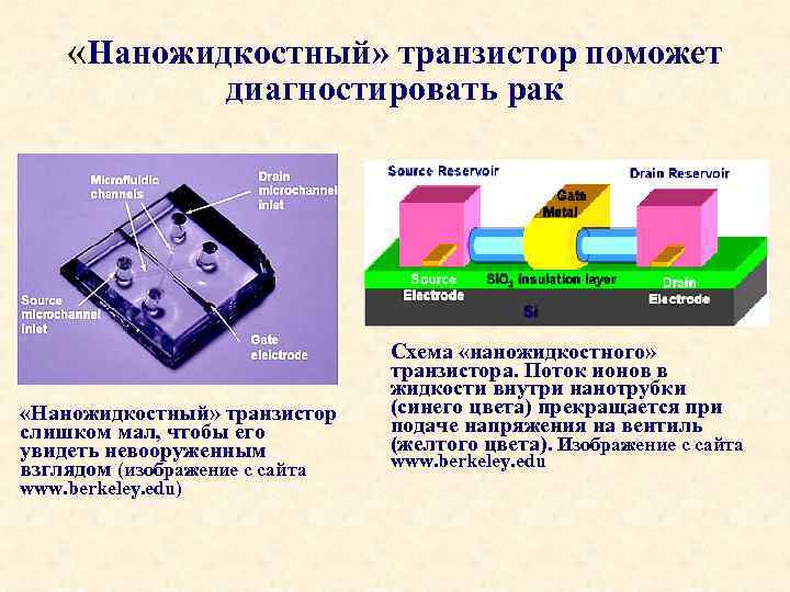  «Наножидкостный» транзистор поможет диагностировать рак «Наножидкостный» транзистор слишком мал, чтобы его увидеть невооруженным