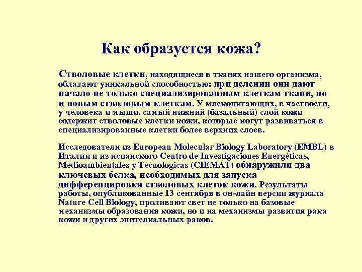 Как образуется кожа? Стволовые клетки, находящиеся в тканях нашего организма, обладают уникальной способностью: при