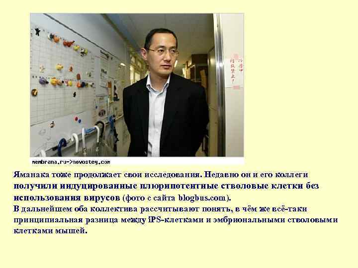 Яманака тоже продолжает свои исследования. Недавно он и его коллеги получили индуцированные плюрипотентные стволовые