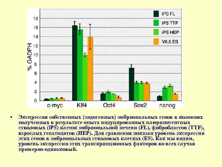  • Экспрессия собственных (эндогенных) эмбриональных генов в колониях полученных в результате опыта индуцированных