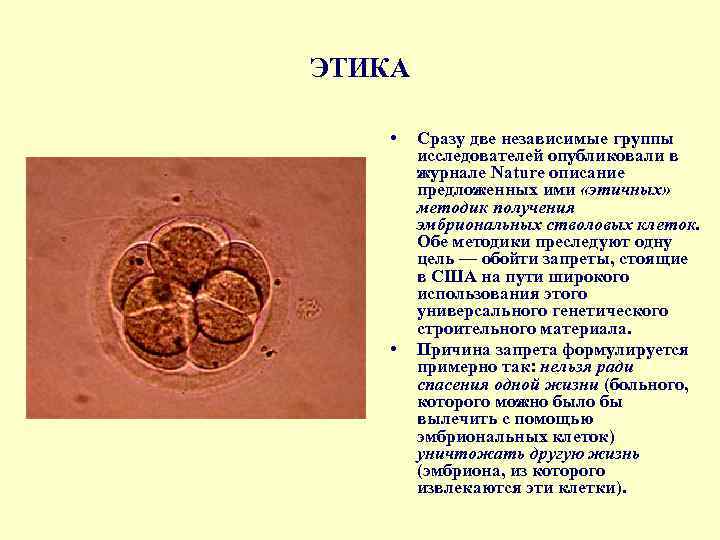 ЭТИКА • • Сразу две независимые группы исследователей опубликовали в журнале Nature описание предложенных