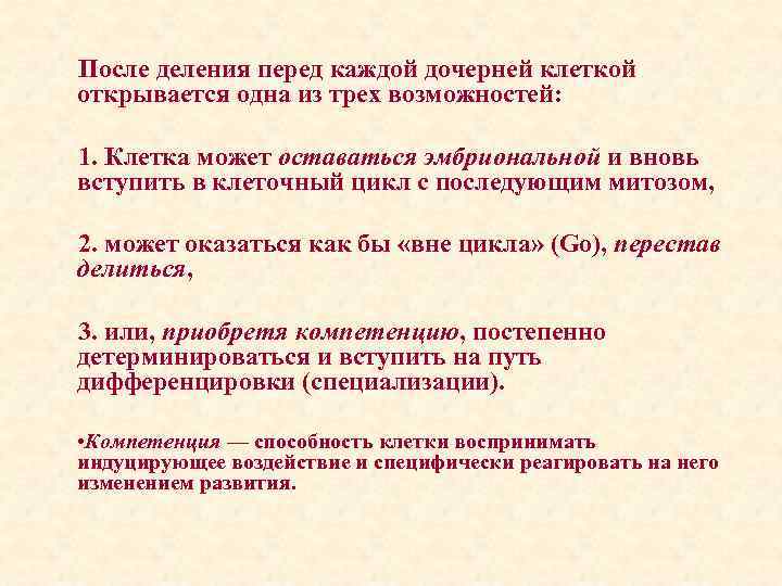 После деления перед каждой дочерней клеткой открывается одна из трех возможностей: 1. Клетка может