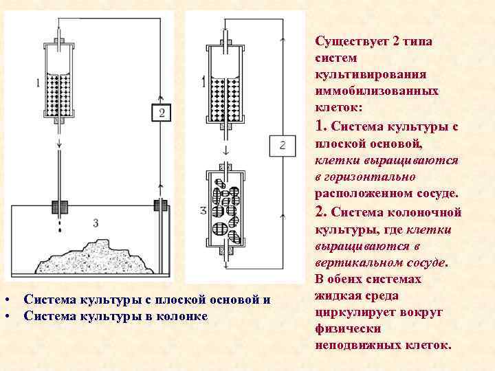  • Система культуры с плоской основой и • Система культуры в колонке Существует