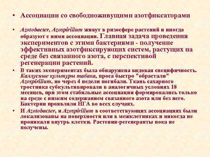  • Ассоциации со свободноживущими азотфиксаторами • Azotobacter, Azospirillum живут в ризосфере растений и
