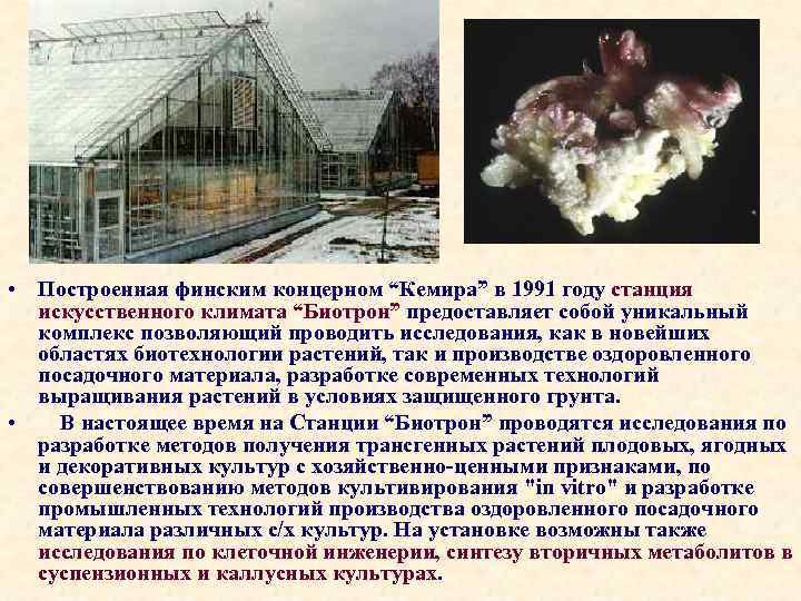  • Построенная финским концерном “Кемира” в 1991 году станция искусственного климата “Биотрон” предоставляет