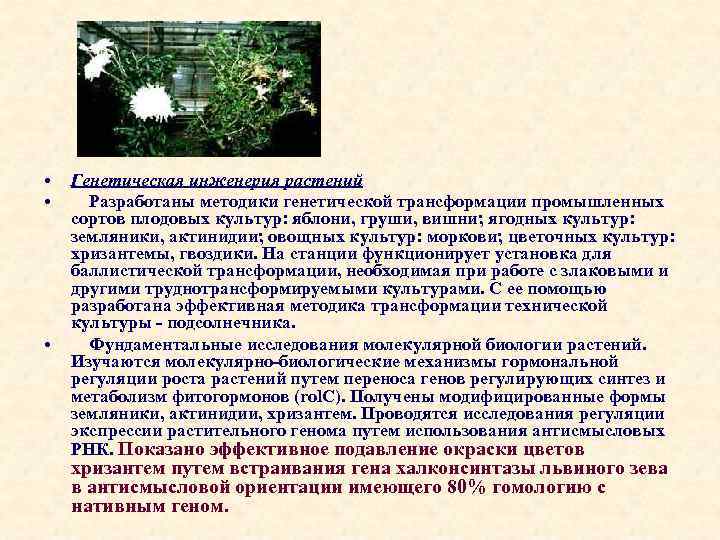  • • • Генетическая инженерия растений Разработаны методики генетической трансформации промышленных сортов плодовых