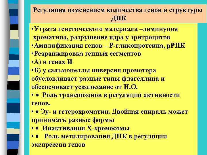 Регуляция изменением количества генов и структуры ДНК • Утрата генетического материала –диминуция хроматина, разрушение