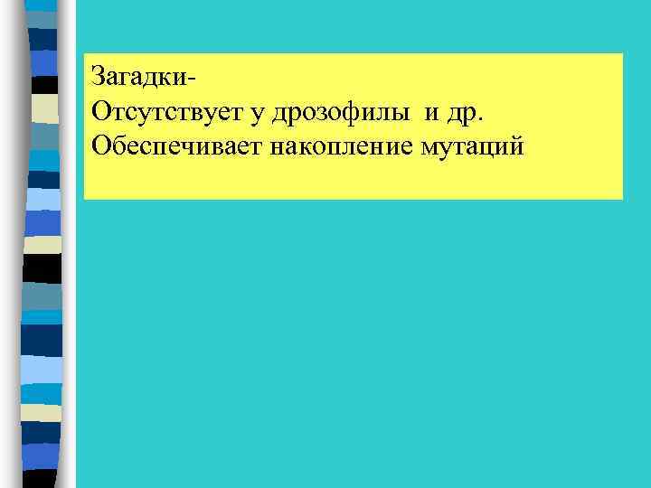 Загадки. Отсутствует у дрозофилы и др. Обеспечивает накопление мутаций 