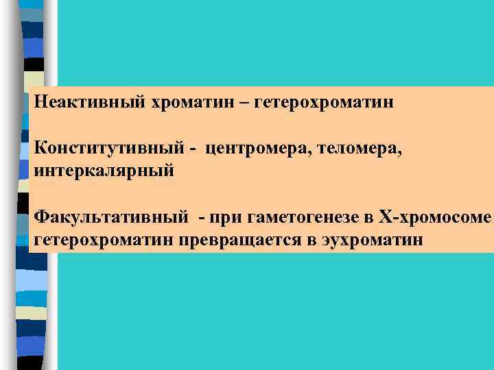 Неактивный хроматин – гетерохроматин Конститутивный - центромера, теломера, интеркалярный Факультативный - при гаметогенезе в