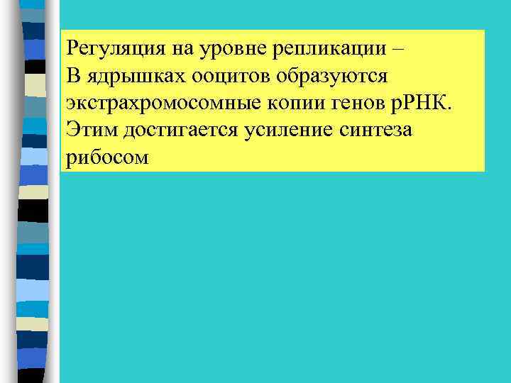 Регуляция на уровне репликации – В ядрышках ооцитов образуются экстрахромосомные копии генов р. РНК.