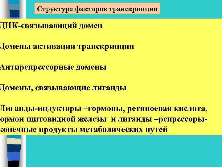 Структура факторов транскрипции ДНК-связывающий домен Домены активации транскрипции Антирепрессорные домены Домены, связывающие лиганды Лиганды-индукторы