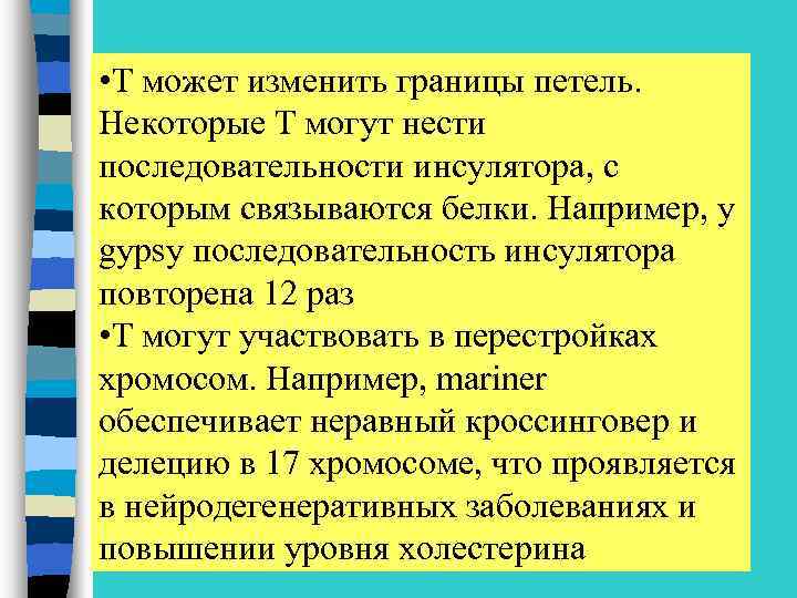  • Т может изменить границы петель. Некоторые Т могут нести последовательности инсулятора, с