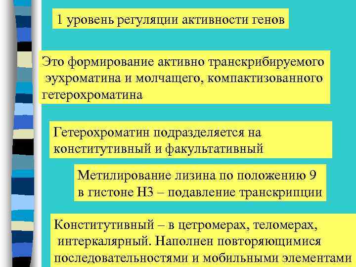 1 уровень регуляции активности генов Это формирование активно транскрибируемого эухроматина и молчащего, компактизованного гетерохроматина