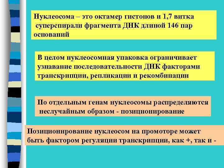 Нуклеосома – это октамер гистонов и 1, 7 витка суперспирали фрагмента ДНК длиной 146