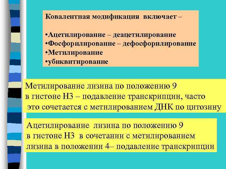 Ковалентная модификация включает – • Ацетилирование – деацетилирование • Фосфорилирование – дефосфорилирование • Метилирование